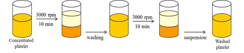 농축 혈소판 제제로부터 Washed platelet을 만드는 과정 모식도