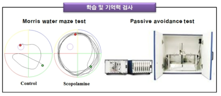 Behavior Test 검사 장비