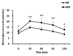 C57BL/6 mouse에서의 IPGTT. 일반식이(ND)와 고지방식이(HFD)로 사육한 생쥐의 포도당내성의 변화. 한약재 투여에 따른 포도당내성의 개선 효과를 관찰.