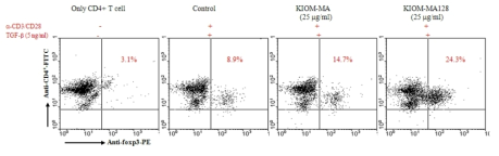 Dot plot pattern of CD4+/CD25+/foxp3+ intracellular staining