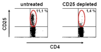 CD25 depletion in blood