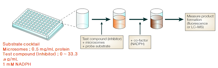 CYP inhibition assay의 실험 과정