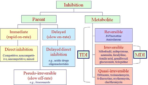 CYP inhibition 기전 구분