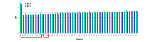 pH in fermented SA with lactic acid bacteria at 37℃ for 24 h and 48 h.