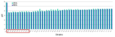 pH in fermented BJ with lactic acid bacteria at 37℃ for 24 h and 48 h.