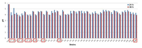 pH in fermented GM with lactic acid bacteria at 37℃ for 24 h and 48 h.