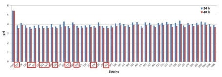 pH in fermented JE with lactic acid bacteria at 37℃ for 24 h and 48 h.