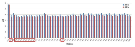 pH in fermented PM with lactic acid bacteria at 37℃ for 24 h and 48 h.