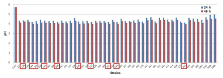 pH in fermented SC with lactic acid bacteria at 37℃ for 24 h and 48 h.