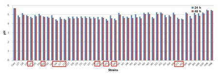 pH in fermented PW with lactic acid bacteria at 37℃ for 24 h and 48 h.