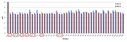 pH in fermented SG with lactic acid bacteria at 37℃ for 24 h and 48 h.