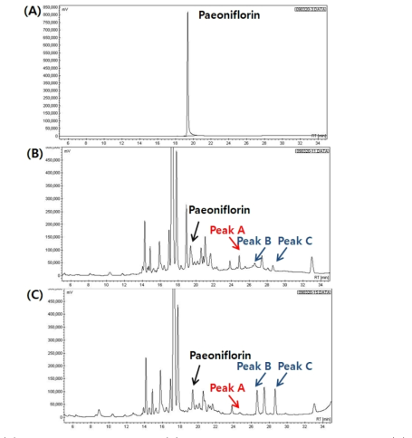 (A) paeoniflorin standard, (B) chromatogram of Galgeun tang (C) chromatogram of Galgeun tang fermented with lactic acid bacterial (KFRI 144 L. plantarum).