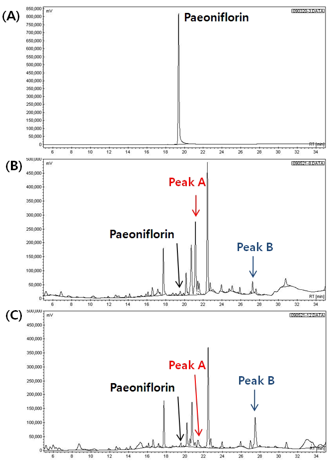 (A) paeoniflorin standard, (B) chromatogram of Bangpungtongsung san, (C) chromatogram of Bangpungtongsung san fermented with lactic acid bacteria (KFRI 144 L. plantarum).