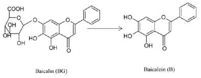 Proposed metabolic pathways of baicalin in the intestine.