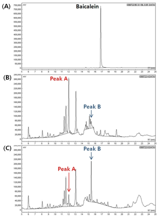 (A) baicalein standard, (B) chromatogram of Bangpungtongsung san, (C) chromatogram of Bangpungtongsung san fermented with lactic acid bacteria (KFRI 144 L. plantarum).