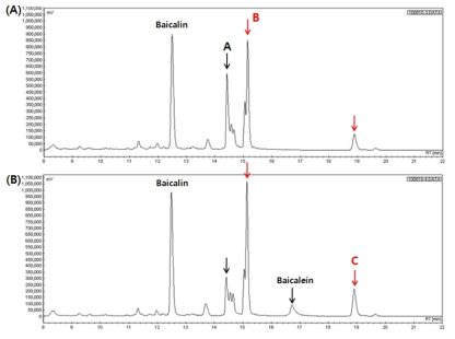 (A) chromatogram of HR, (B) chromatogram of HR fermented with lactic acid bacteria (KFRI 127 L. casei).