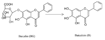 Proposed metabolic pathways of baicalin in the intestine.