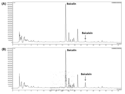 (A) chromatogram of GM, (B) chromatogram of GM fermented with lactic acid bacteria (KFRI 127 L. casei ).