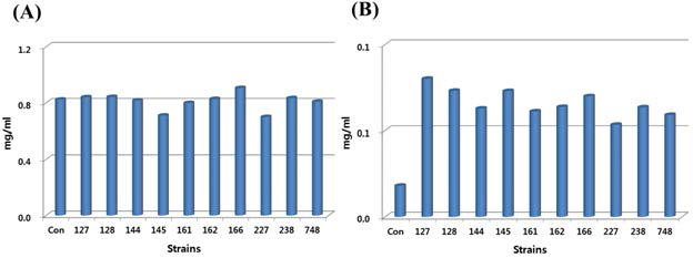 Concentration of baicalin(glycoside) (A) and baicalein(aglycone) (B) in GM fermented with lactic acid bacteria at 37℃ for 48 h.