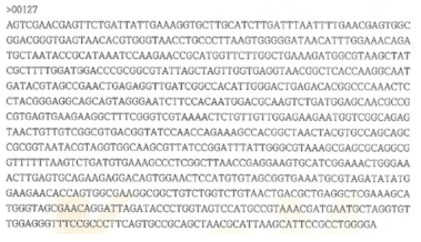 Partial 16s rRNA gene sequence for KFRI 127 strain.