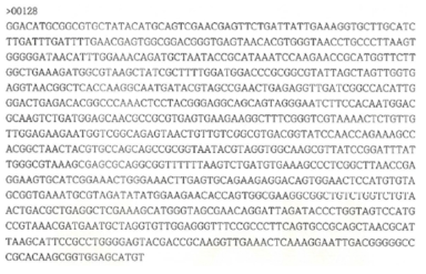 Partial 16s rRNA gene sequence for KFRI 128 strain.