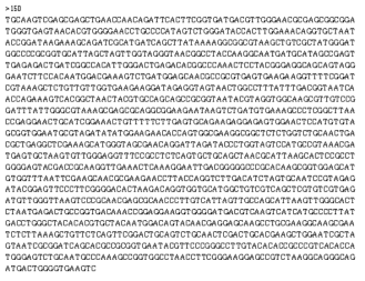 Partial 16s rRNA gene sequence for KFRI 150 strain.