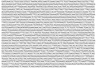 Partial 16s rRNA gene sequence for KFRI 161 strain.