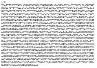 Partial 16s rRNA gene sequence for KFRI 162 strain.