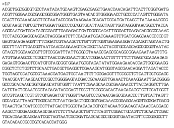 Partial 16s rRNA gene sequence for KFRI 217 strain.