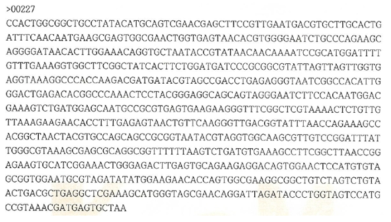 Partial 16s rRNA gene sequence for KFRI 227 strain.