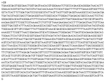 Partial 16s rRNA gene sequence for KFRI 228 strain.