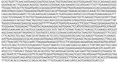 Partial 16s rRNA gene sequence for KFRI 229 strain.