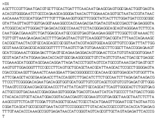 Partial 16s rRNA gene sequence for KFRI 231 strain.