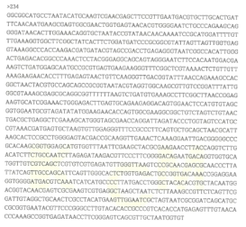 Partial 16s rRNA gene sequence for KFRI 234 strain.