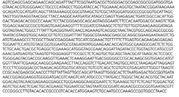 Partial 16s rRNA gene sequence for KFRI 341 strain.