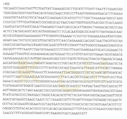 Partial 16s rRNA gene sequence for KFRI 402 strain.