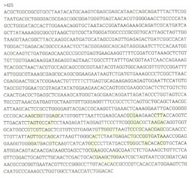 Partial 16s rRNA gene sequence for KFRI 425 strain.