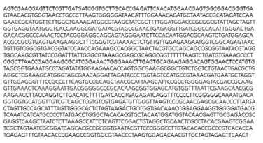 Partial 16s rRNA gene sequence for KFRI 442 strain.