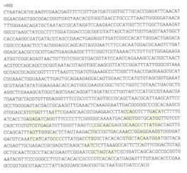 Partial 16s rRNA gene sequence for KFRI 692 strain.