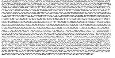 Partial 16s rRNA gene sequence for KFRI 693 strain.