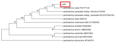 Neighbor-joining phylogenetic tree analysis based on partial 16s rRNA gene sequences of KFRI 693 strain.