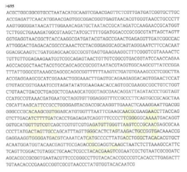 Partial 16s rRNA gene sequence for KFRI 695 strain.