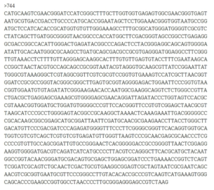 Partial 16s rRNA gene sequence for KFRI 744 strain.