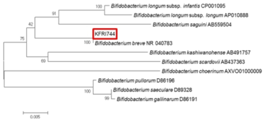 Neighbor-joining phylogenetic tree analysis based on partial 16s rRNA gene sequences of KFRI 744 strain.