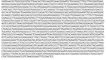 Partial 16s rRNA gene sequence for KFRI 748 strain.