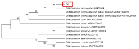 Neighbor-joining phylogenetic phylogenetic tree analysis based on partial 16s rRNA gene sequences of KFRI 748 strain.