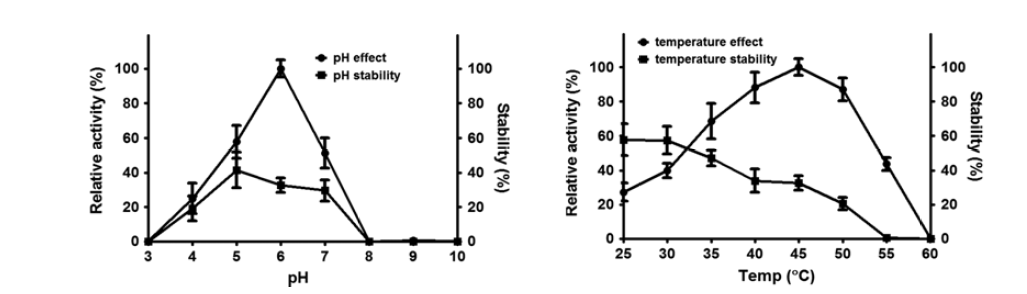 L. antri 유래 재조합 β-glucosidase의 pH 및 온도에 따른 활성 및 안정성