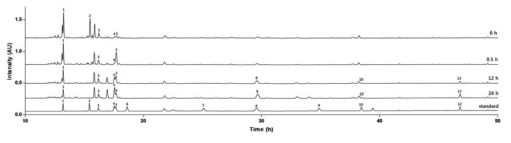 L. antri 유래 재조합 β-glucosidase를 이용한 인삼 추출물 내 ginsenoside들의 전환 및 HPLC 분석