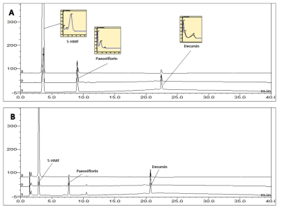 The HPLC chromatogram with UV spectrum of standard mixture (A) and Samul tang sample(B). 1 - 230 nm, 2 - 240nm, 3 - 280 nm.