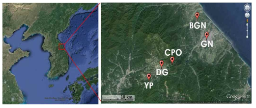 Location of the observation stations in Gangwon area